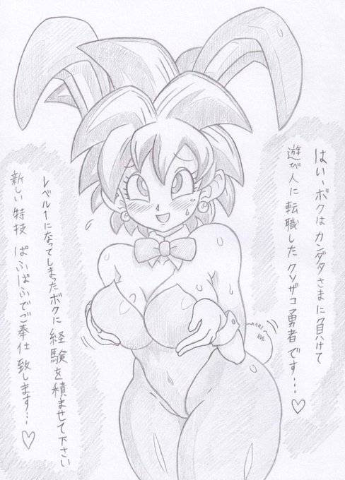 ドラゴンクエスト3より遊び人堕ち女勇者