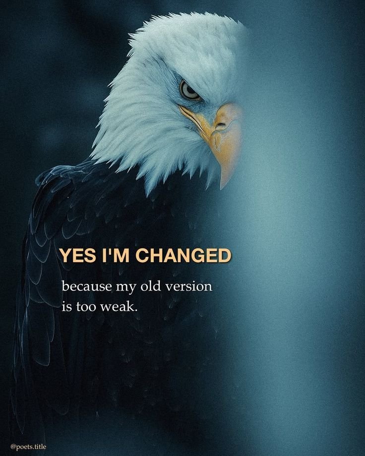 mindfulmaven_'s tweet image. 