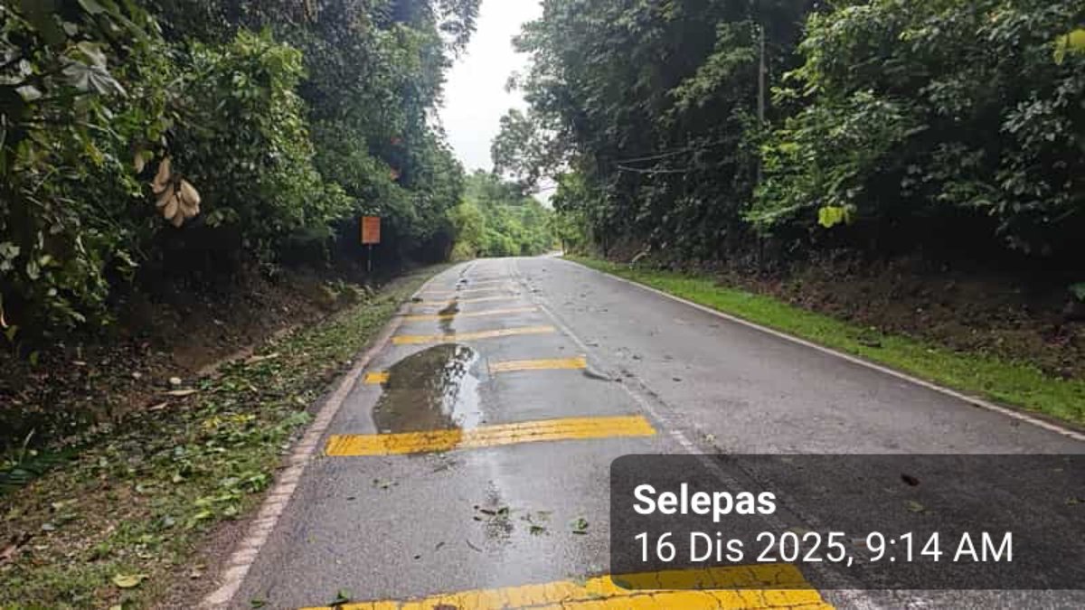 Roadcare Lipis Cameron tweet media