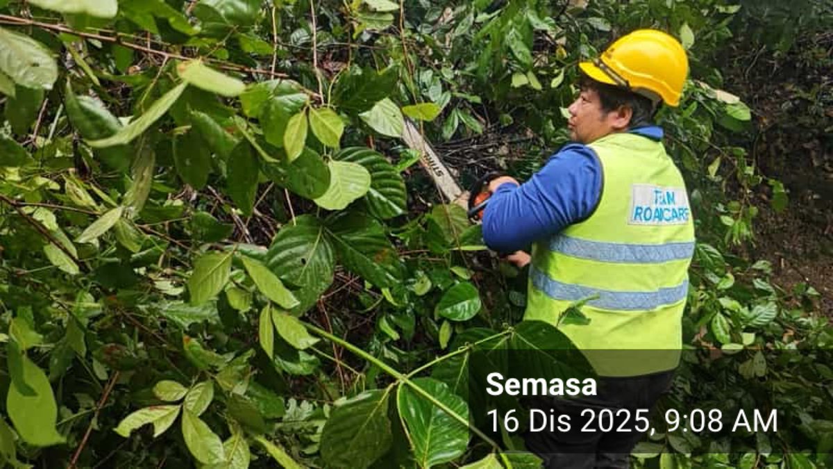 Roadcare Lipis Cameron tweet media