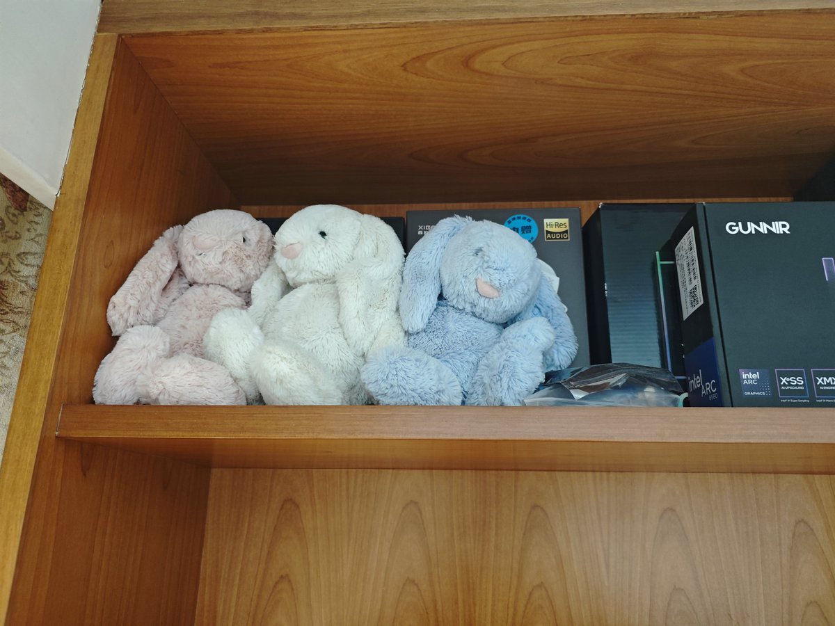 沐浴雨中的兔子🏳️‍⚧️ tweet media