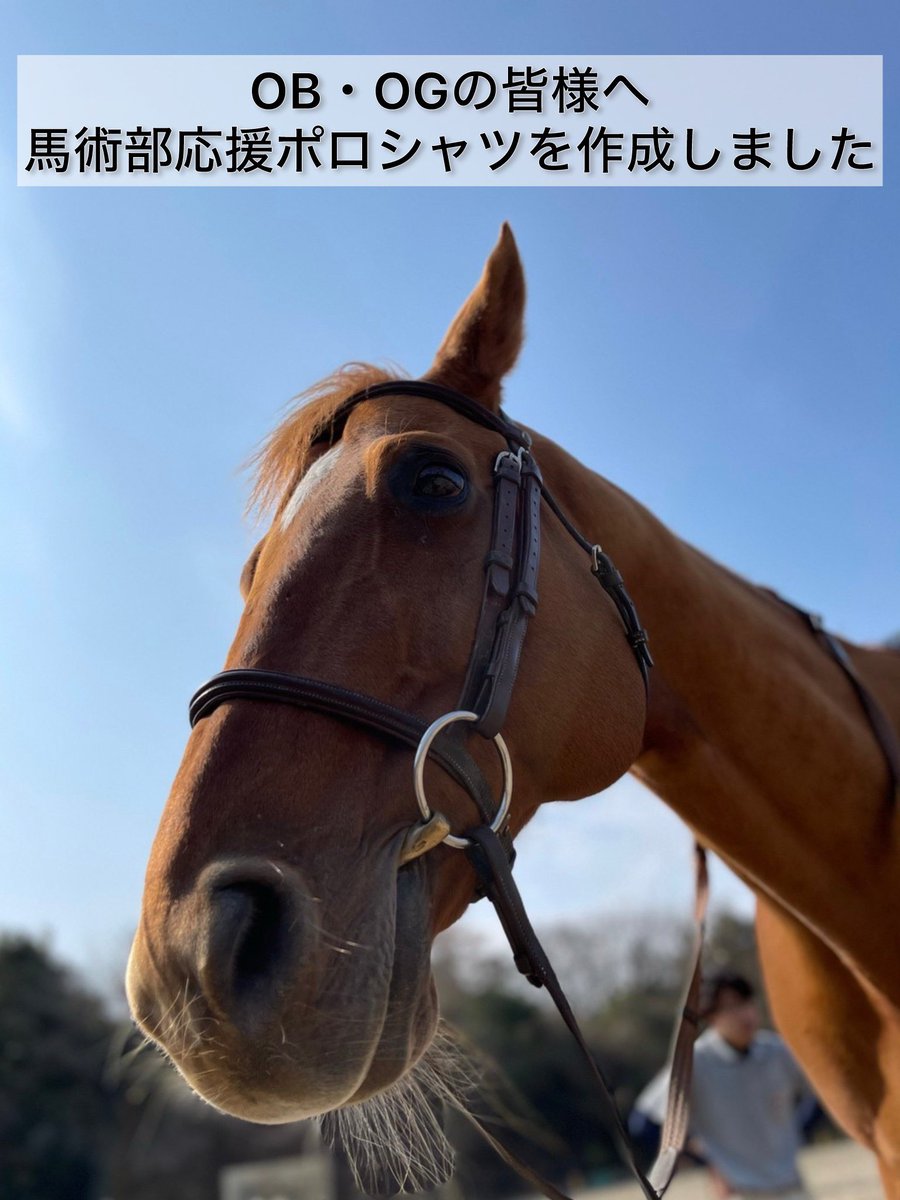 名古屋工業大学馬術部 tweet media