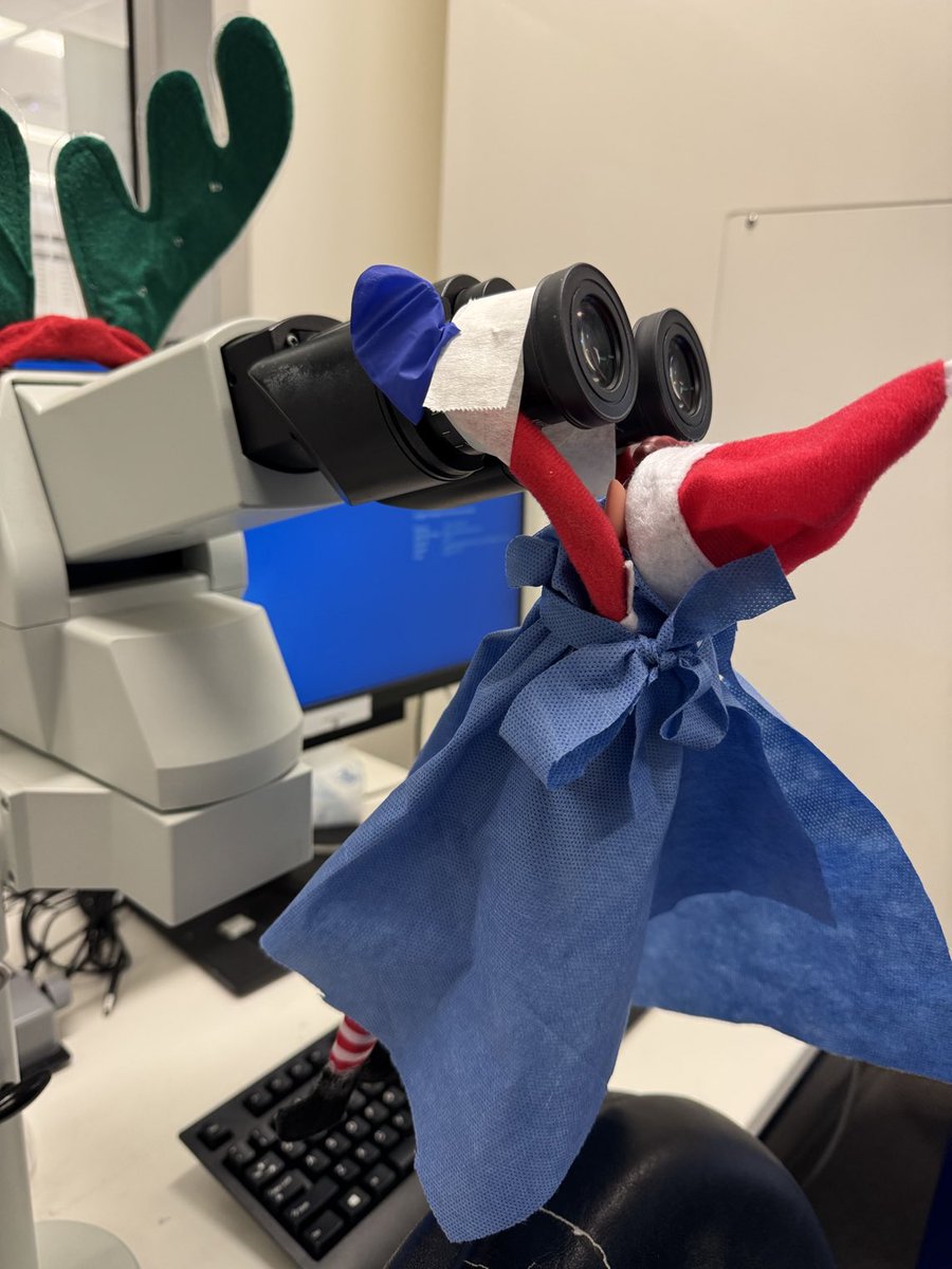 Dr Rebecca Morrow (her/she) tweet media