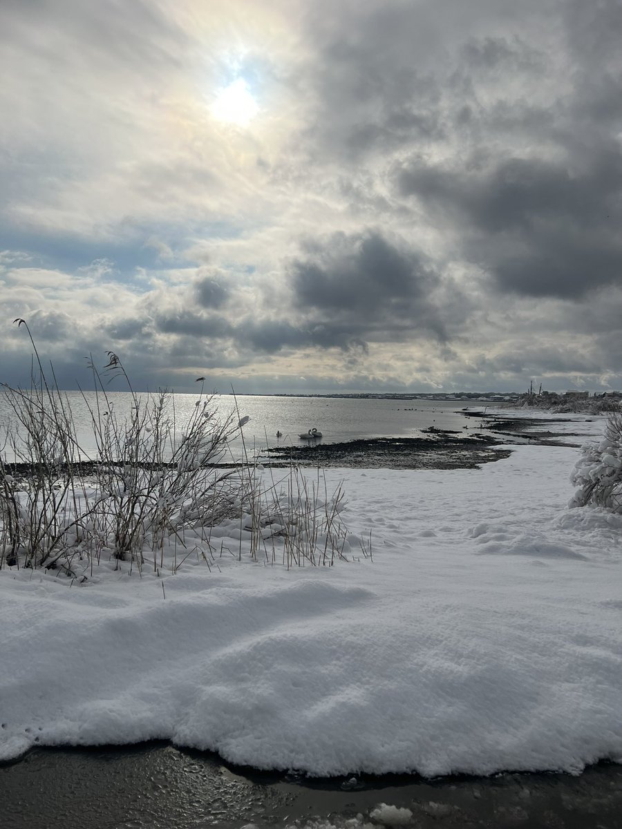 Jen Richard tweet media