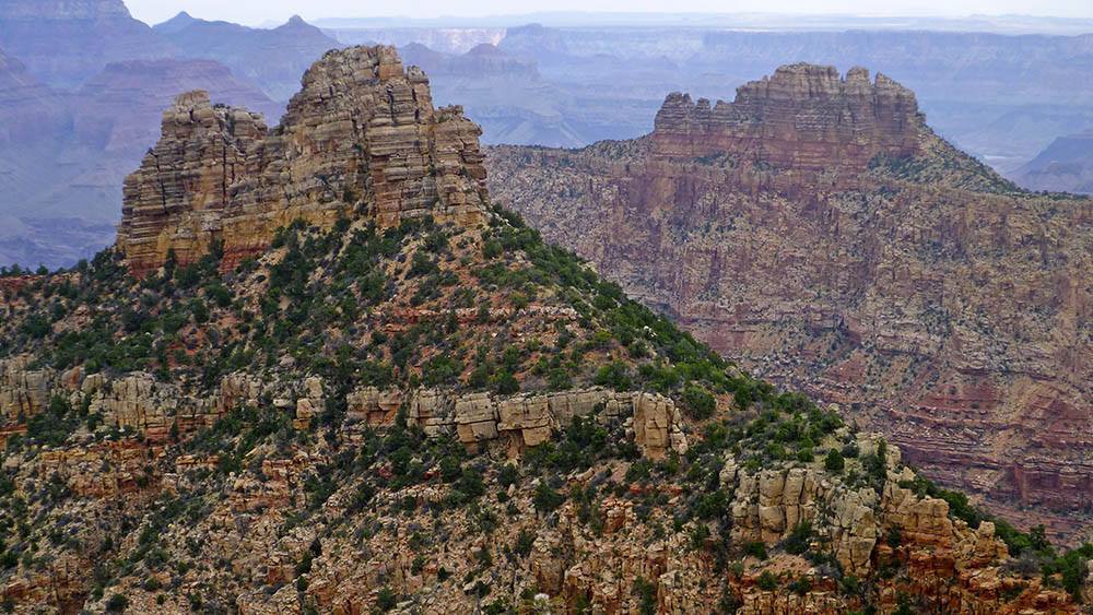 GrandCanyonNPS's tweet image. Sedimentary rocks exposed throughout Grand Canyon are rich with marine fossils such as crinoids, brachiopods, and sponges. Some layers contain terrestrial fossils such as leaf and dragonfly wing impressions, &amp;amp; footprints of scorpions, centipedes, and reptiles.…