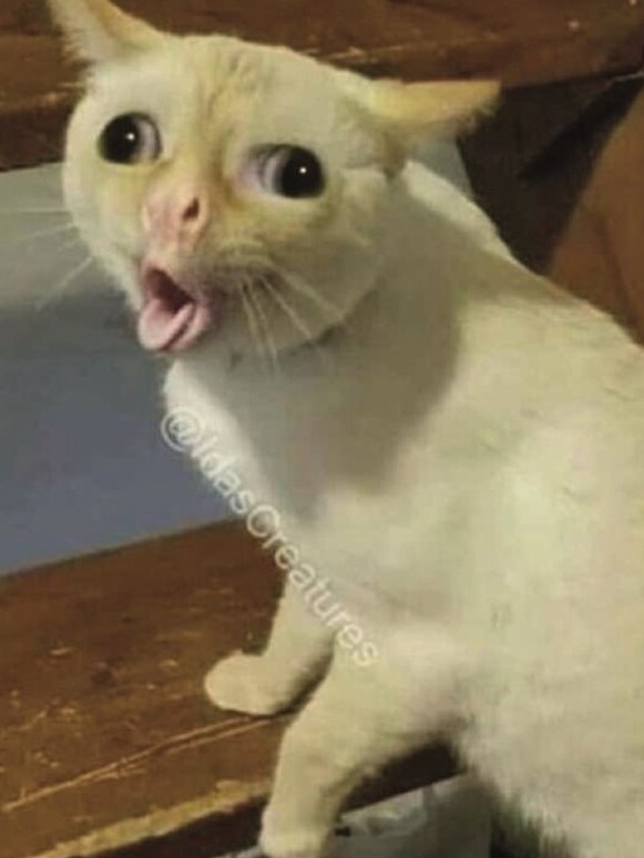 I'm back, and the new DM format sucks!