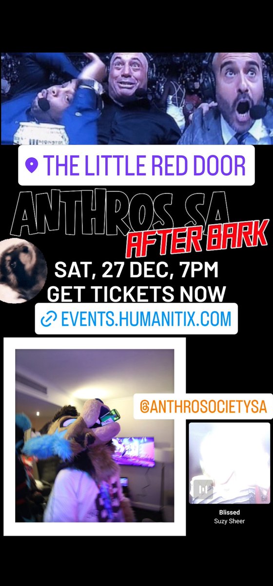 RexTheThirdAU's tweet image. South Australia will be getting lit soon