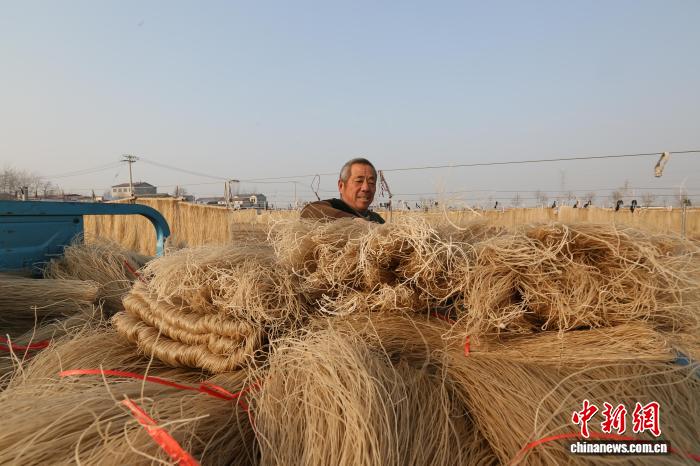 PuebloEnLnea's tweet image. Trabajadores se afanan en secar, clasificar, empaquetar y transportar #fideos de #batata en una planta de producción en el condado de Qixian, en la provincia de #Henan, en el centro de China. #RevitalizaciónRural