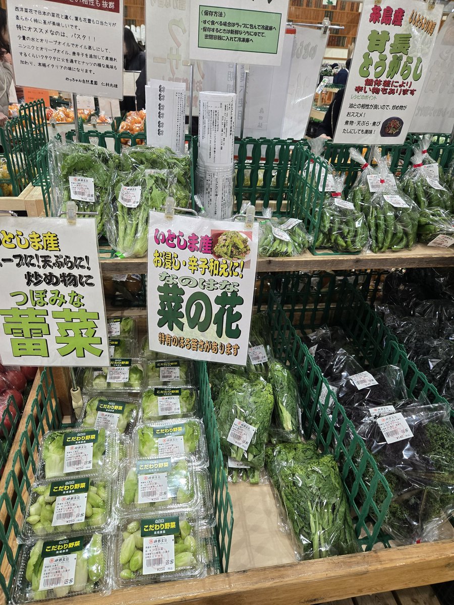 糸島の道の駅最高すぎるここ毎日通いたい でかセロリ購入