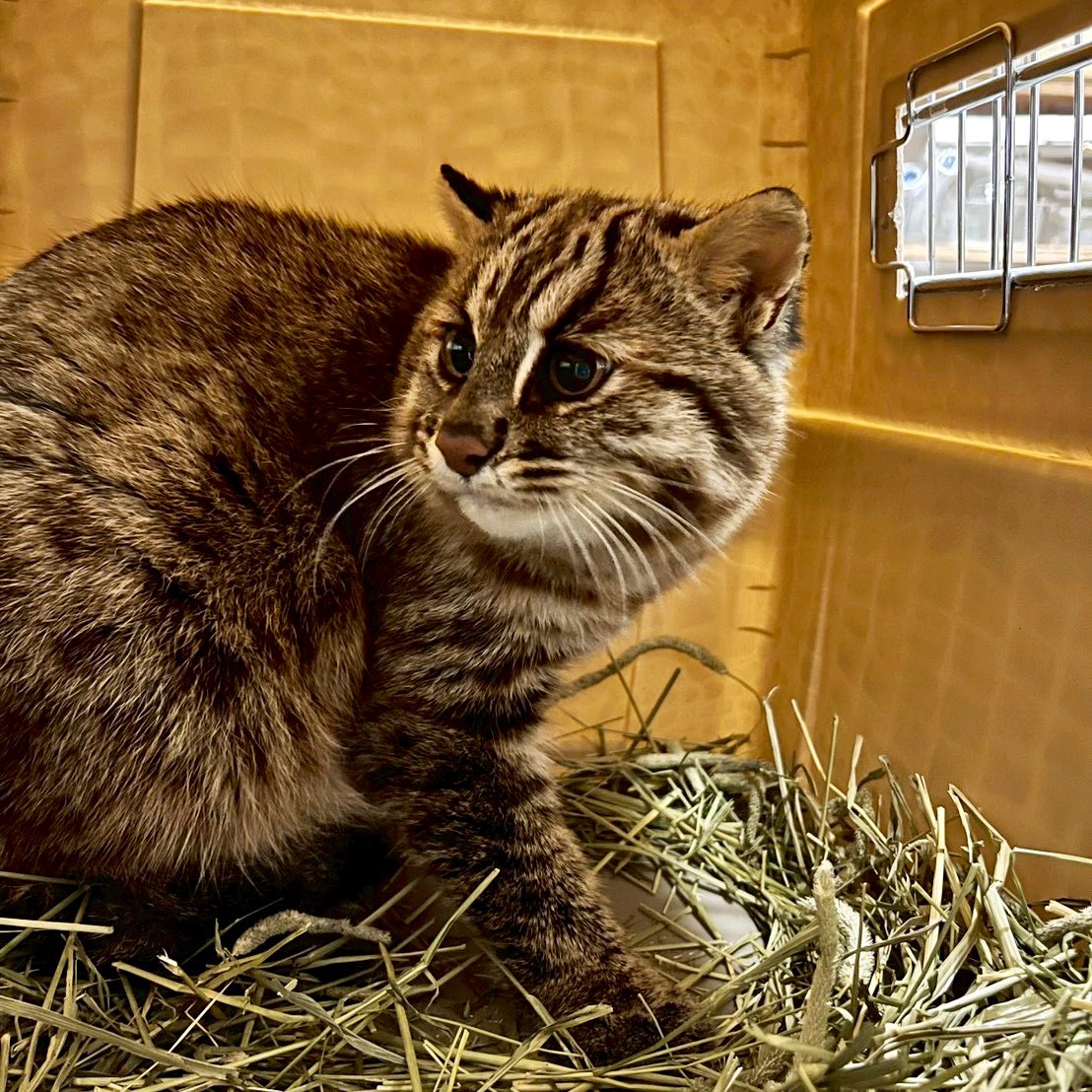 kana (@kana46442442) / Posts / X