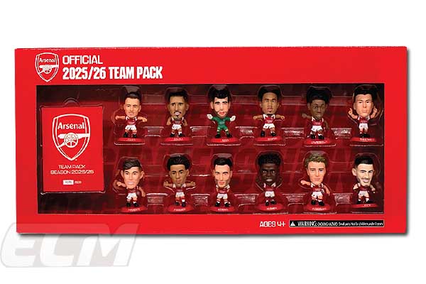 アーセナル #マンチェスターシティ #レスターシティ 優勝10周年記念等