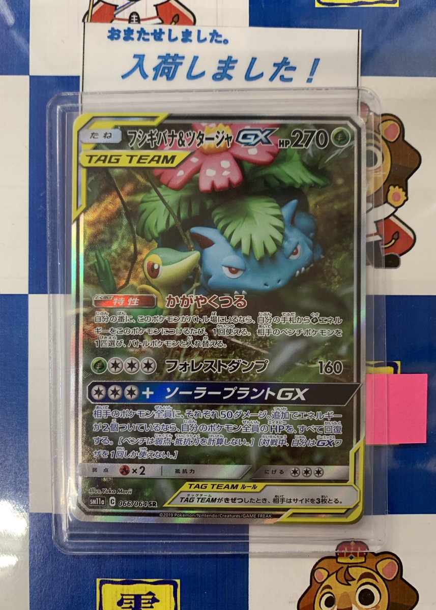 ポケモンカードゲーム 『フシギバナ&ツタージャGX (066/064 SR)（SA