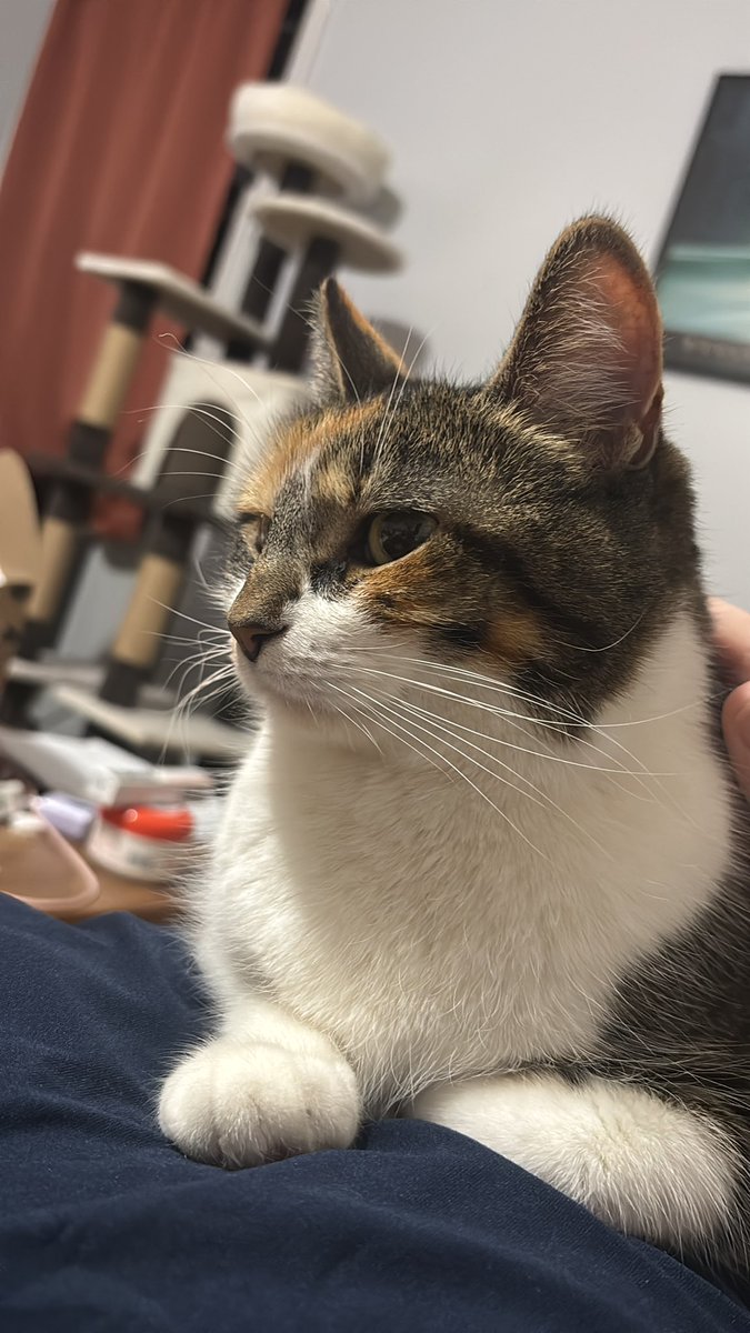 Blossum was very nice to her brother today ! thank you Blossum