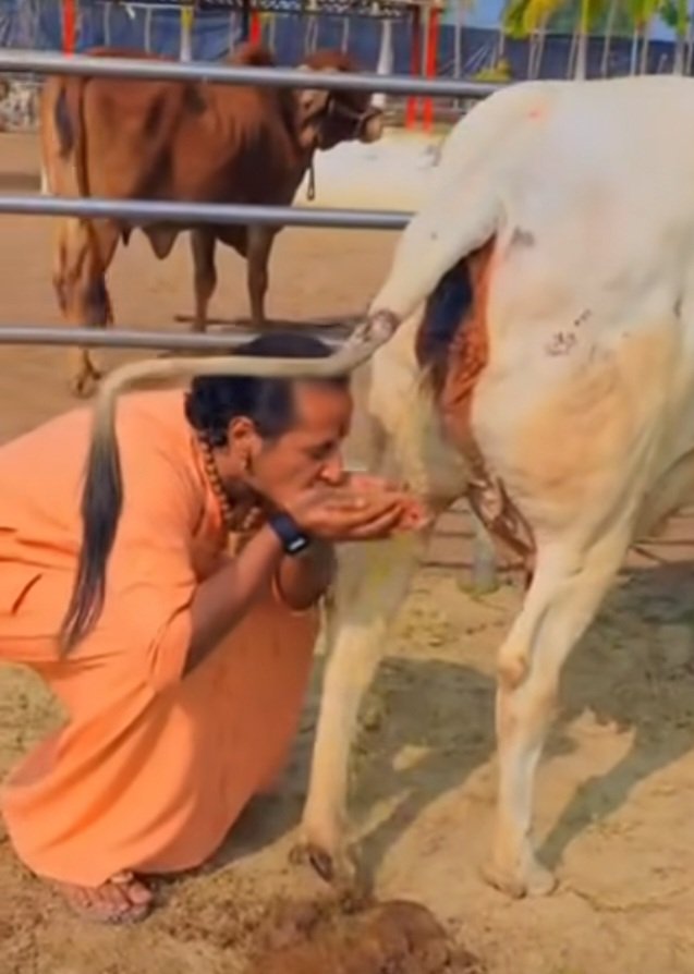 BITTU SHARMA- ‏بٹو شرما tweet media