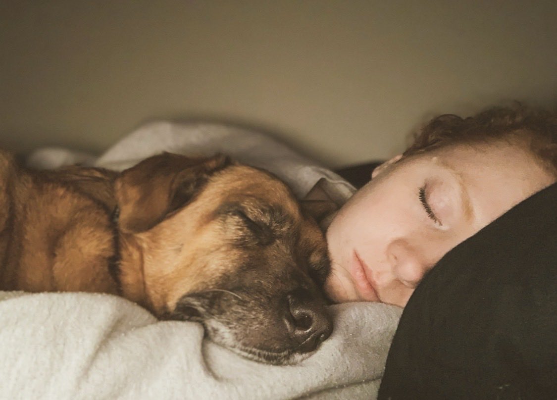 I’m sorry I’ve been quiet, we just lost our beautiful girl Macy and are really torn up 💔 I was lucky to spend some much needed time with wonderful people on Sunday at Anime Frontier, but finding a new normal is overwhelmingly hard after 15 years with her.. Forever my Angel ❤️