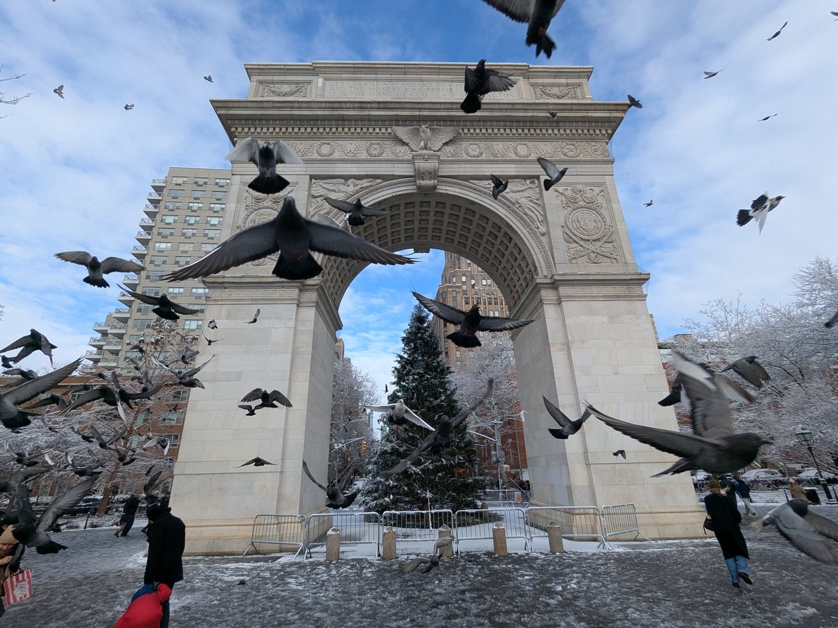 Benjamin Goodman tweet media