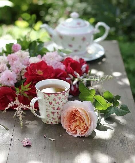 Good Morning heavenly transcendence <a href="/SpoiltprincessG/">SpoiltprincessG</a> 👑 👸 ♥️

I will fill Your day with my unconditional love worship &amp; slavery, may Your day be blessed with wealth &amp; beauty. You hold my heart in Your hands, You complete me Princess. #FLR