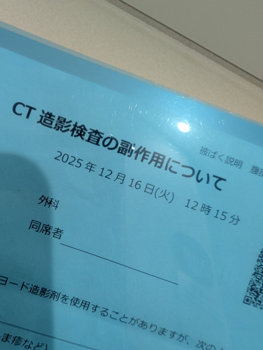 こっちも気になります トリックスター / Ninja ZX-4RR / ZX-4R SE(24-26) 政府認証スリップ