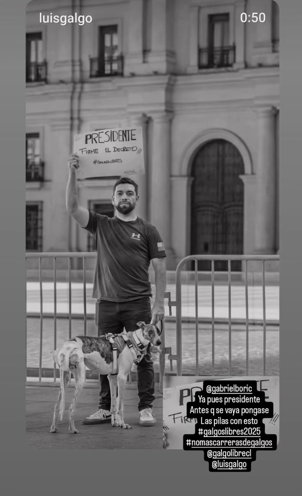 Presidente <a href="/GabrielBoric/">Gabriel Boric Font</a> haga algo bueno por los animalitos antes de irse de su cargo! Firme por favor el decreto de No Más Carreras de Galgos !!!!RT 🥹🙏
