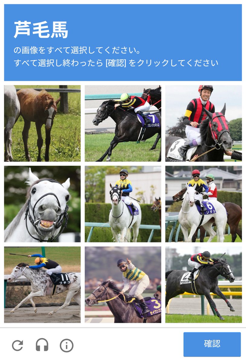 左上 ポイントフラッグの2009 芦毛