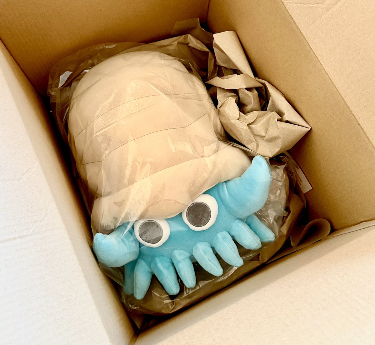 自分用誕プレに ポケモンセンターオンラインで注文した ・オムナイト