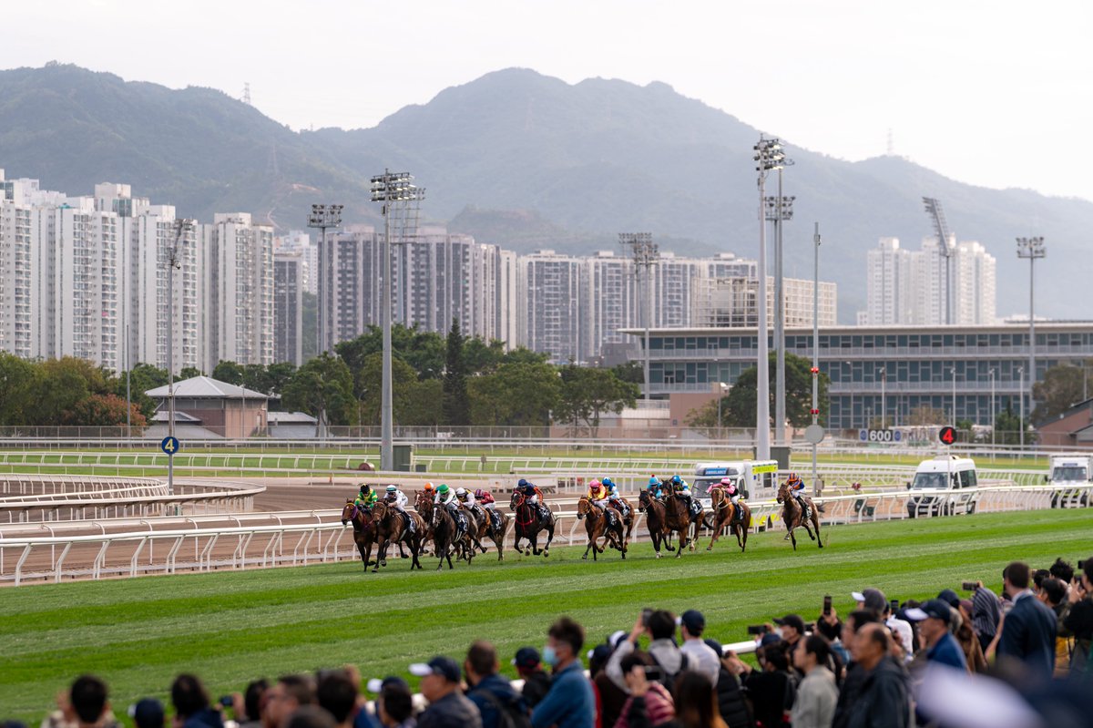 香港マイル
1枚は背景のマンションを入れて香港感出したかったのでとても好きな1枚になりました