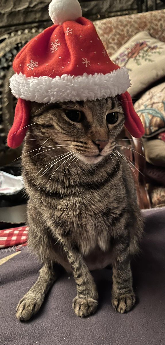 The critters wish everyone a Merry Christmas and a Happy New Year...sorta.