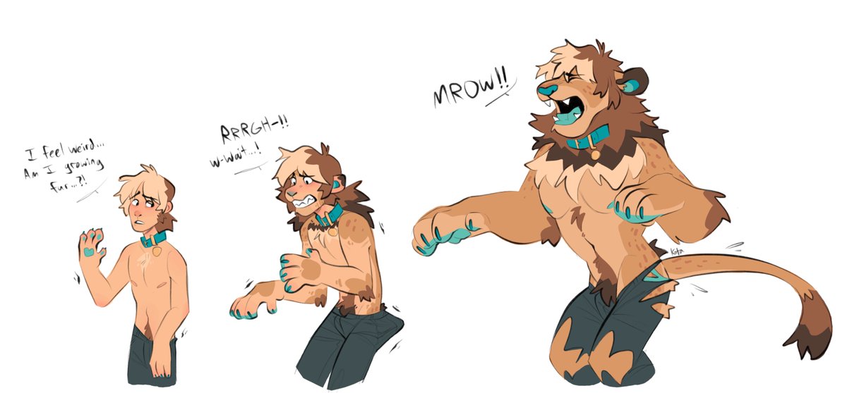 Kotacat4's tweet image. Oops 🦁 #TFTuesday