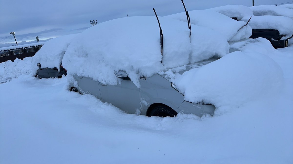 埋まってた。⛄️