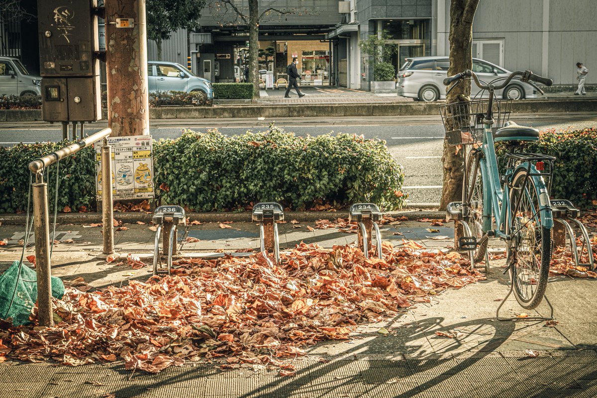 toDMichele's tweet image. カメラと歩く岡山　師走の午後