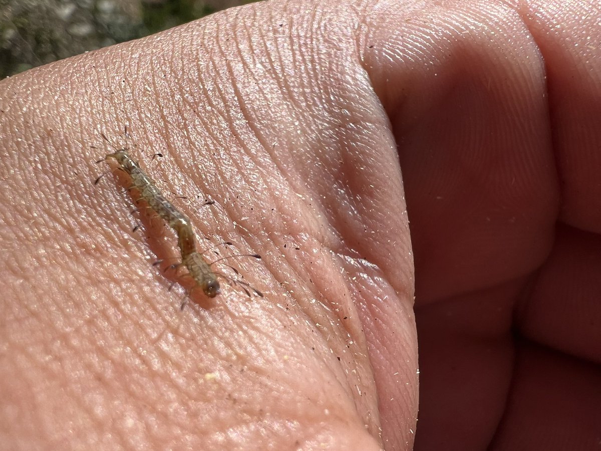 田舎のもの 田舎の者moーchan - YouTube