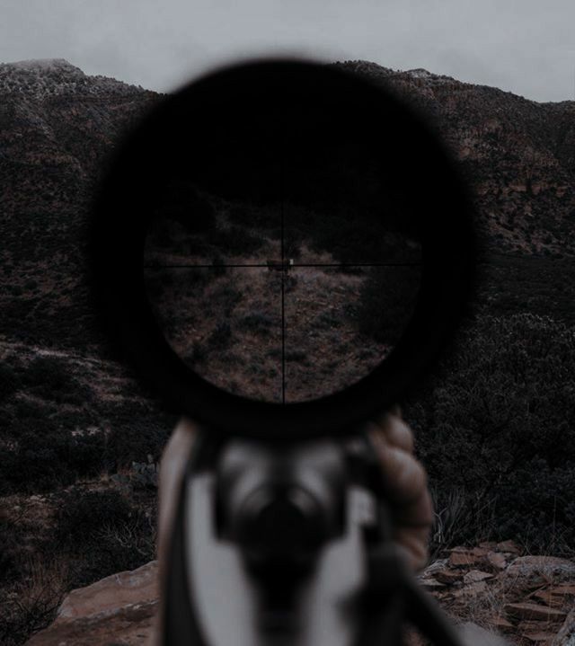 ✧.* 𝑶𝑫𝑬 ᵗᵒ 𝑽𝑰𝑶𝑳𝑬𝑵𝑪𝑬.·˚ ༘ tweet media