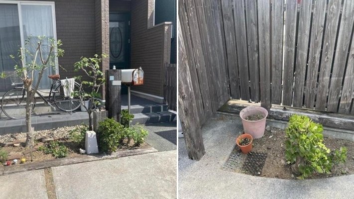 oh!庭ya! 【おにわや】 (@oh28ya) / Posts / X