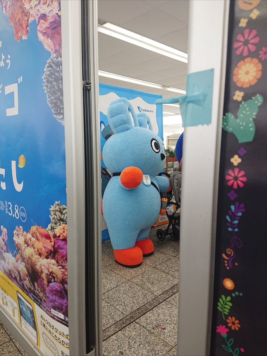 lily (@lily_a0102) / Posts / X