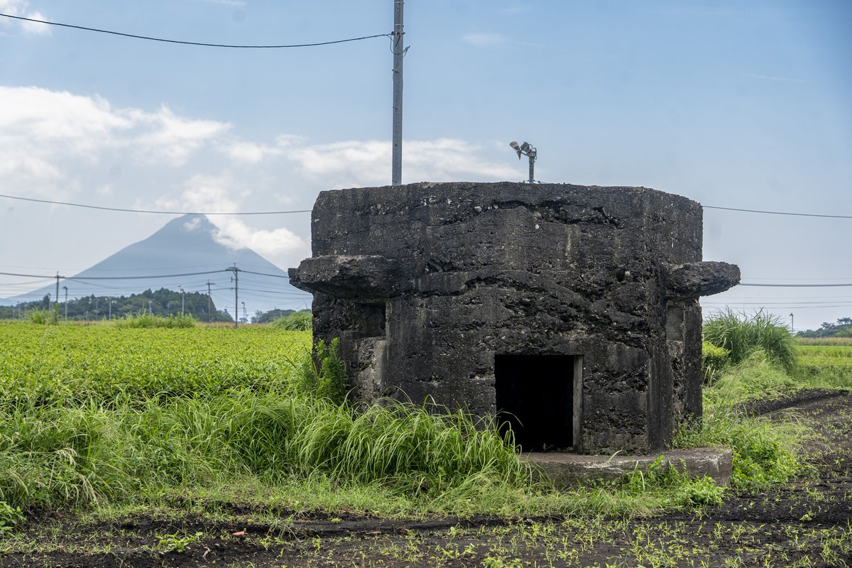 東京文化財研究所/TOBUNKEN【公式】 (@tobunken_nich) / Posts / X