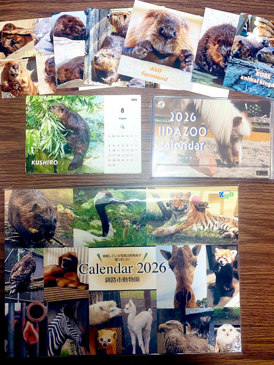 ネットで頼んでいた
釧路市動物園と飯田市立動物園と
ビーバーのカレンダー🗓️
揃いました💕