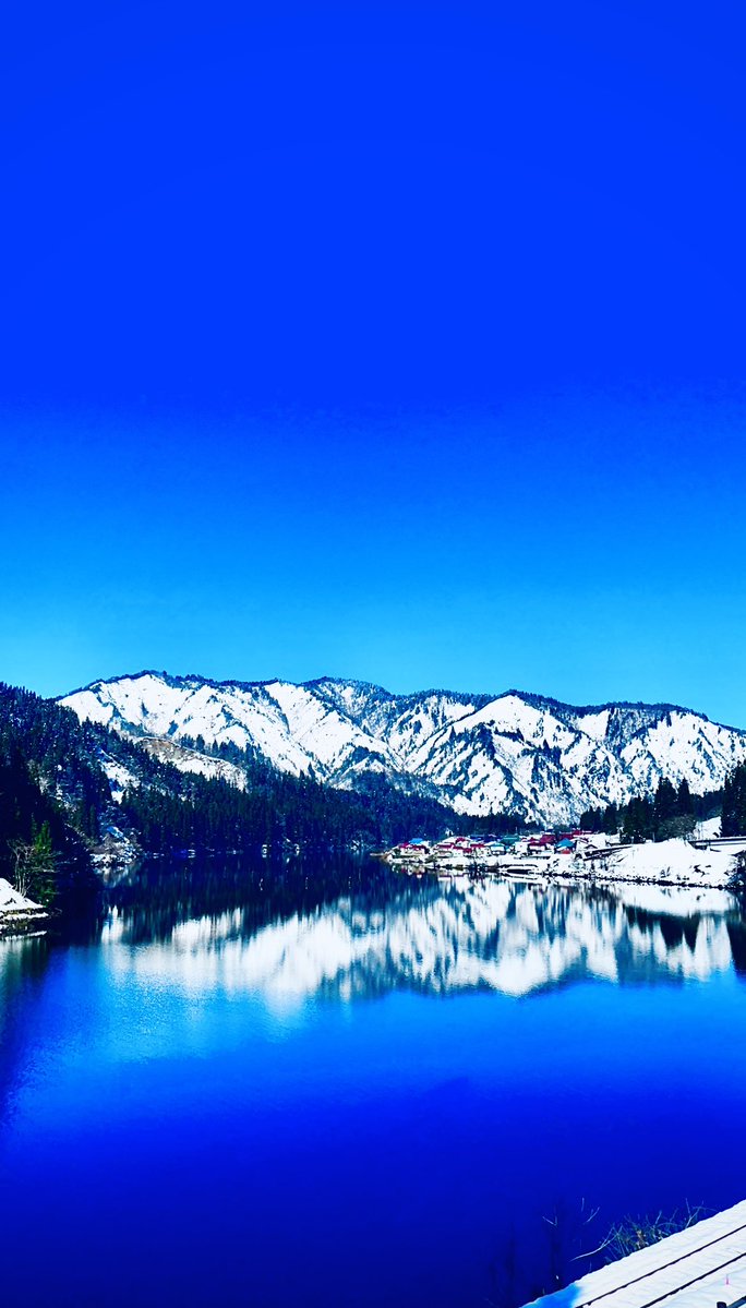 �\�[�V�����}�K�W���w�R�X���f�B�A�h�b�g�R��!!�x:�ŐV���𐏎��X�V��!!