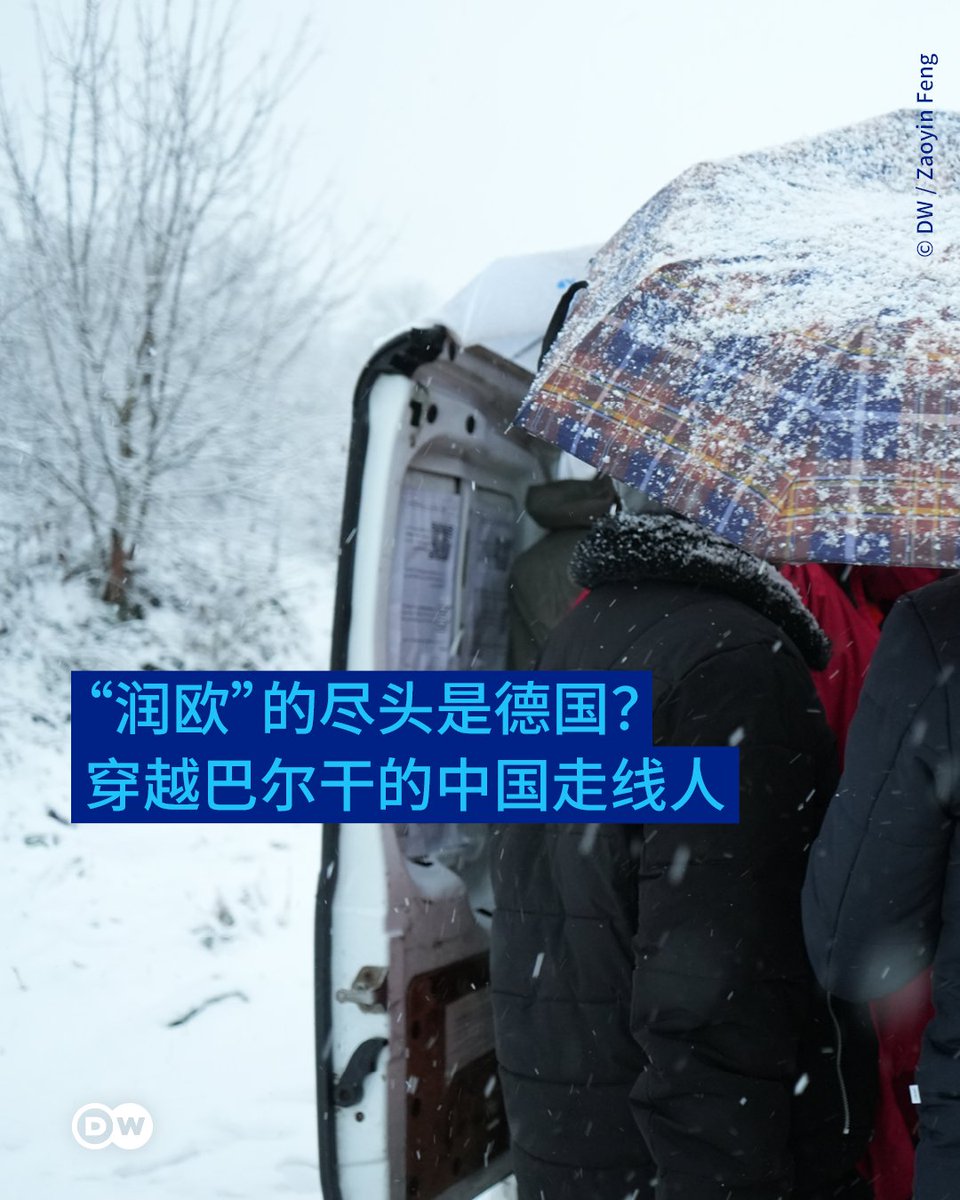 DW 中文- 德国之声 tweet media