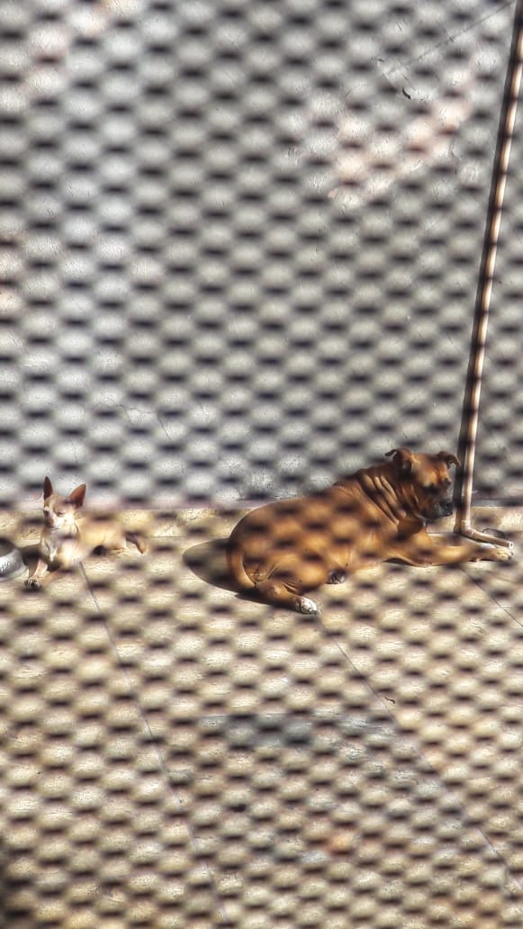 Danie1FGV18 tweet media