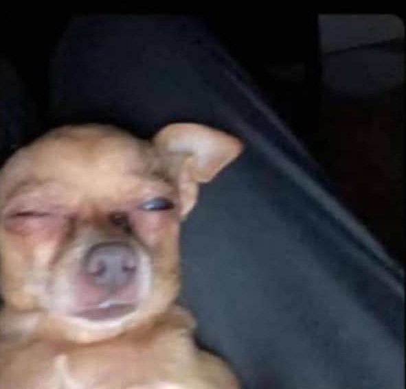 Companies really need to release us