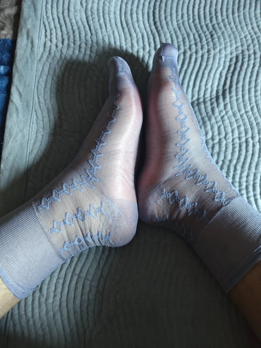 呆萌熊叔 tweet media