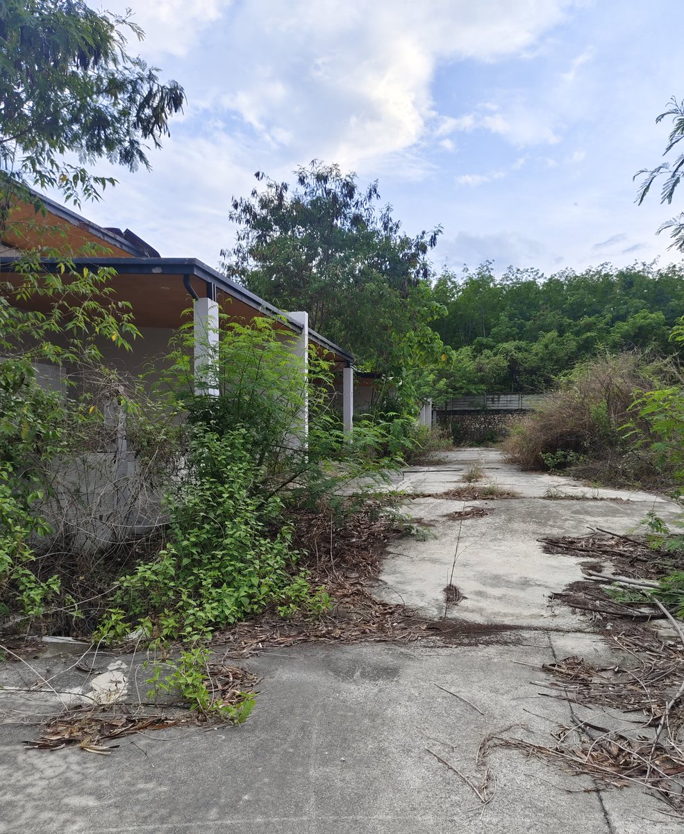 คู่แท้สวิงกิ้ง ระยอง tweet media