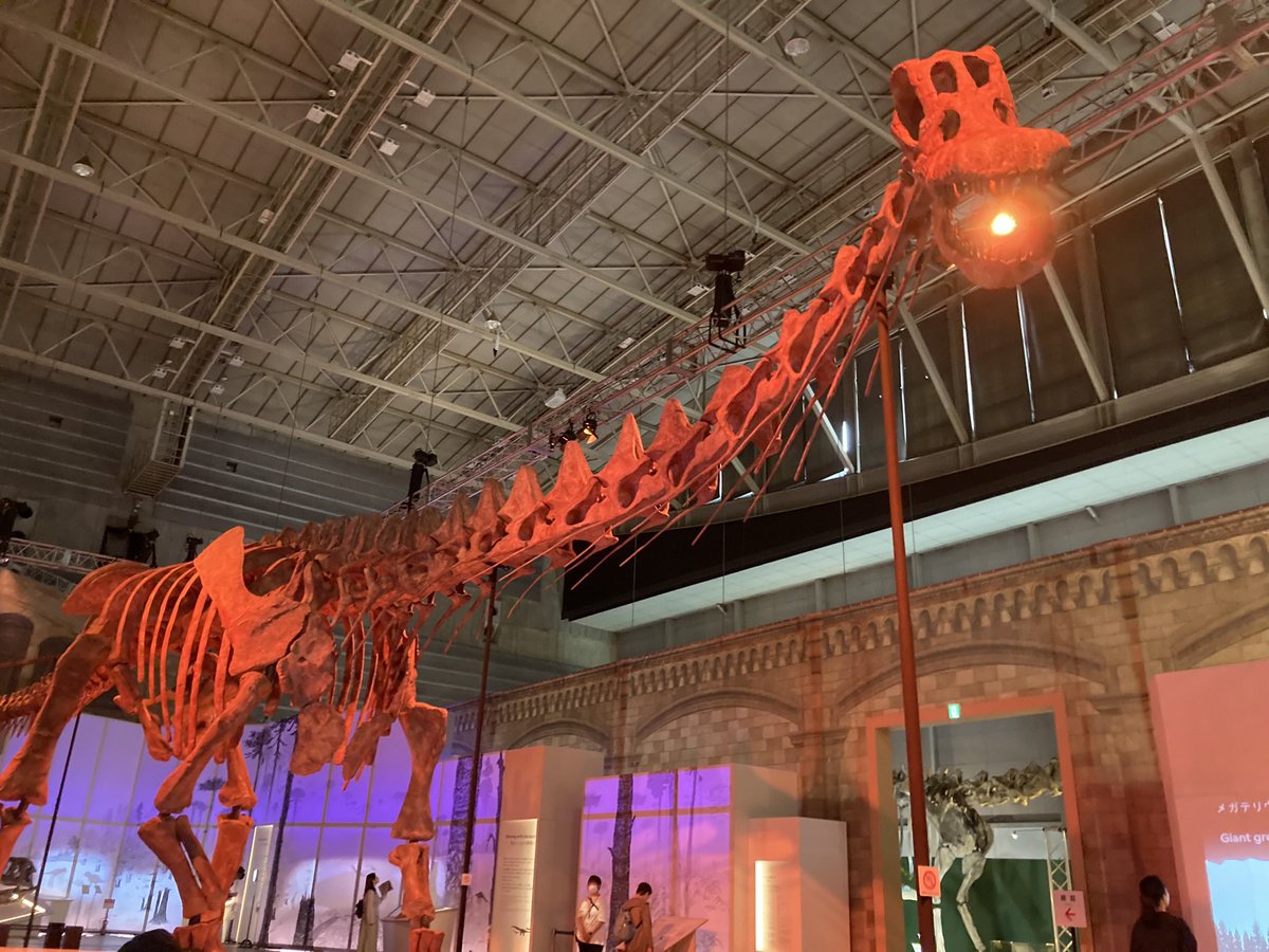 ジンベエー (@NZSjIFiJi8eDWdD) / Posts / X