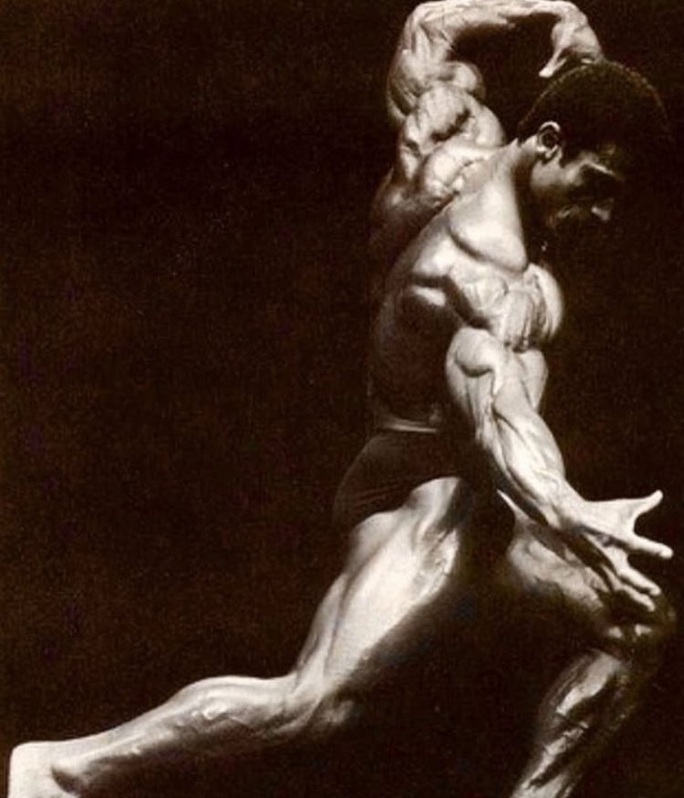 triceps_mania's tweet photo. when you call me, 
to call me mr. triceps https://t.co/BVgO7vWKMr