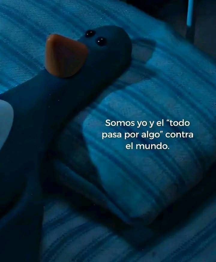 Escrito_Ideal's tweet image. 