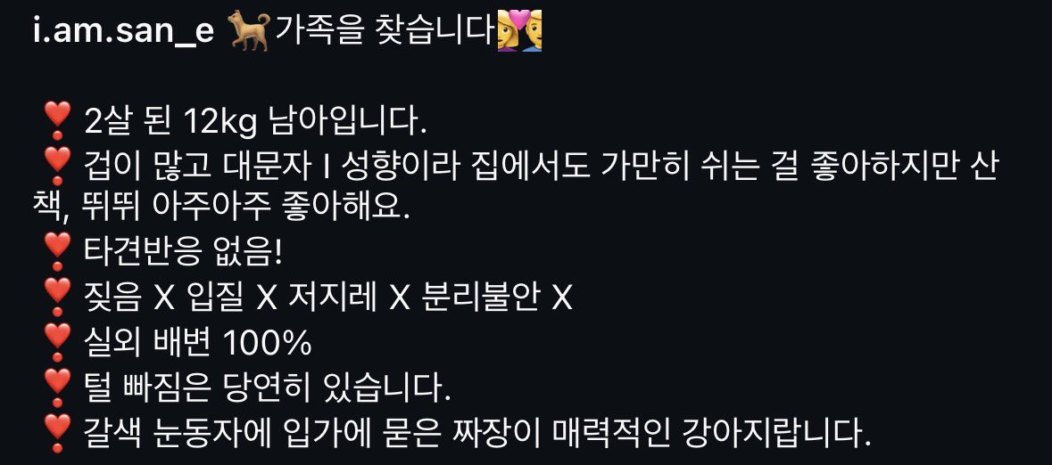 제 친구가 임보 중인 산이 입양처를 찾고 있어요 !!!
입에 묻은 짜장 약간 진지독스러운 눈썹 .. 왕콧구멍 .. 완벽한 삼각형 귀
이 매력을 알아줄 사람 진ㅉㅏ 없나요
12키로면 진짜 포켓임 ♡ #사지말고입양하세요 

instagram.com/p/DSKbwjNk-ty/…