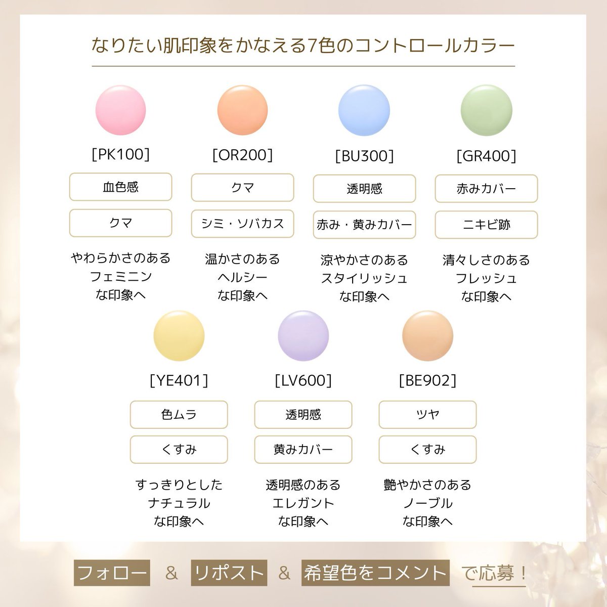 ✴️10/16まで期間限定✴️★◉早い者勝ち◉★【大株】ユーフォルビアゴルゴニス実生 史上最大32名×超高額自腹!!ピタリでたら1000万円 大晦日もゴチになり