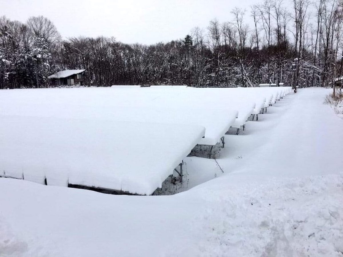 アホの極みだと思う人✋