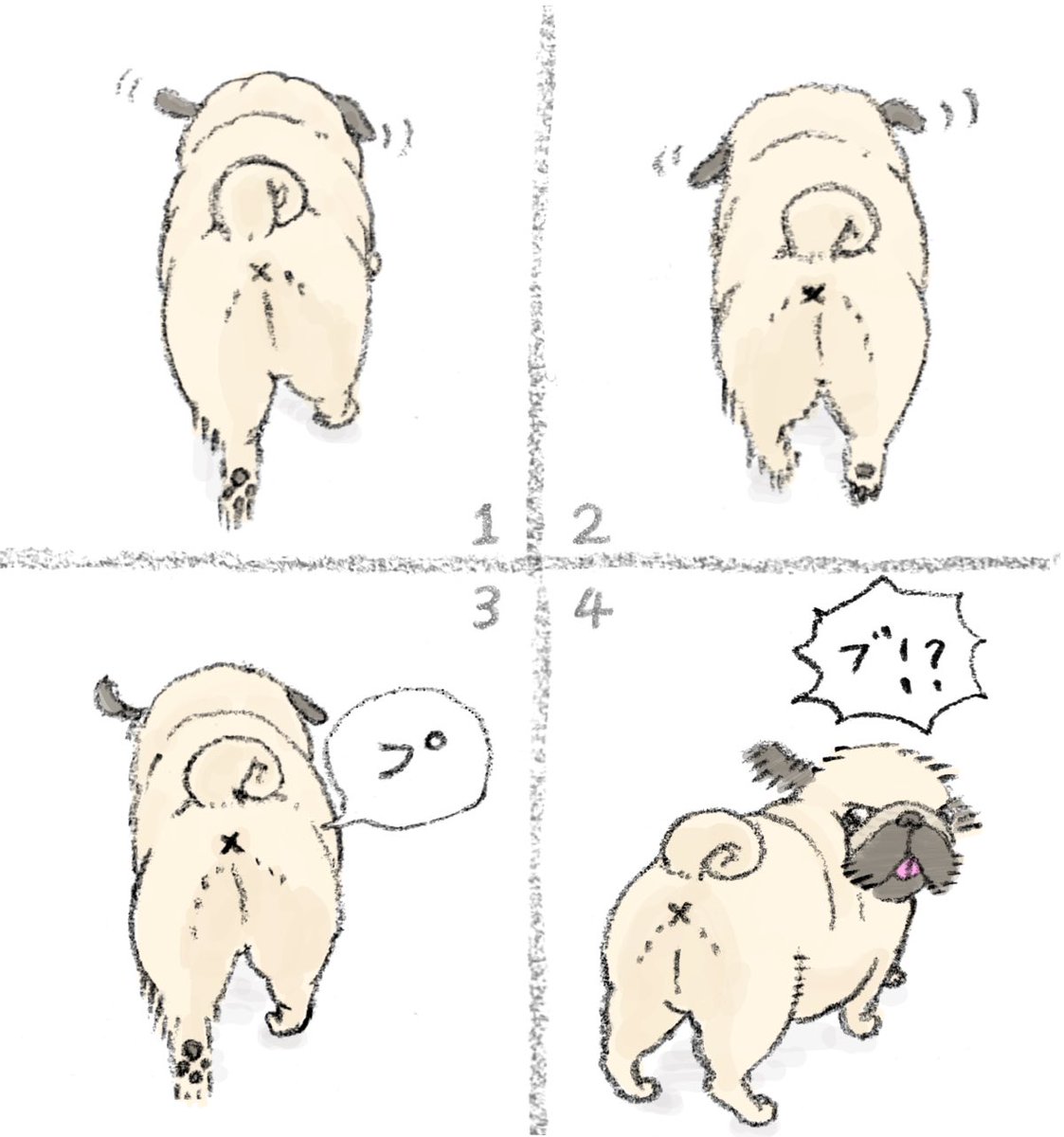 ハナちゃん (@89no87chan) / Posts / X ハナちゃん (@89no87chan) / Posts / X