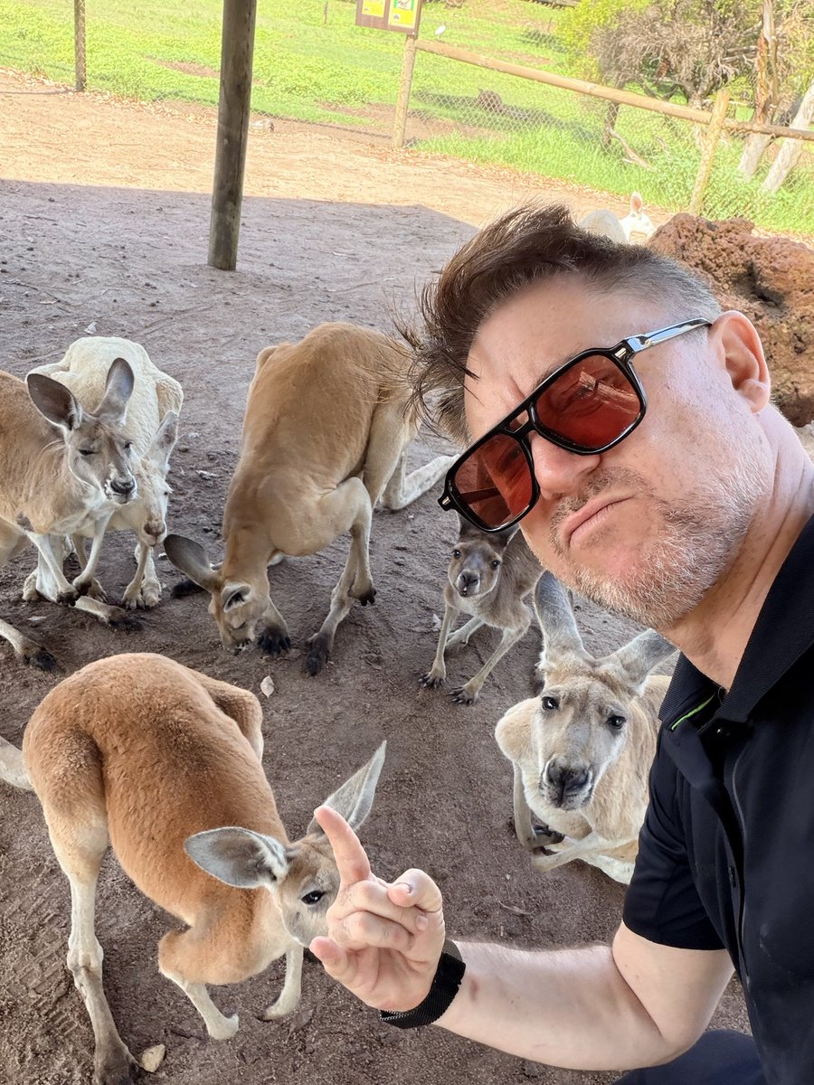 Jason Ninja tweet media